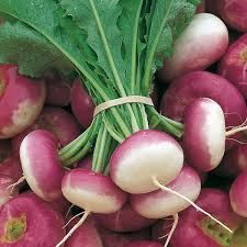 Navets nouveaux bottes Venteuges